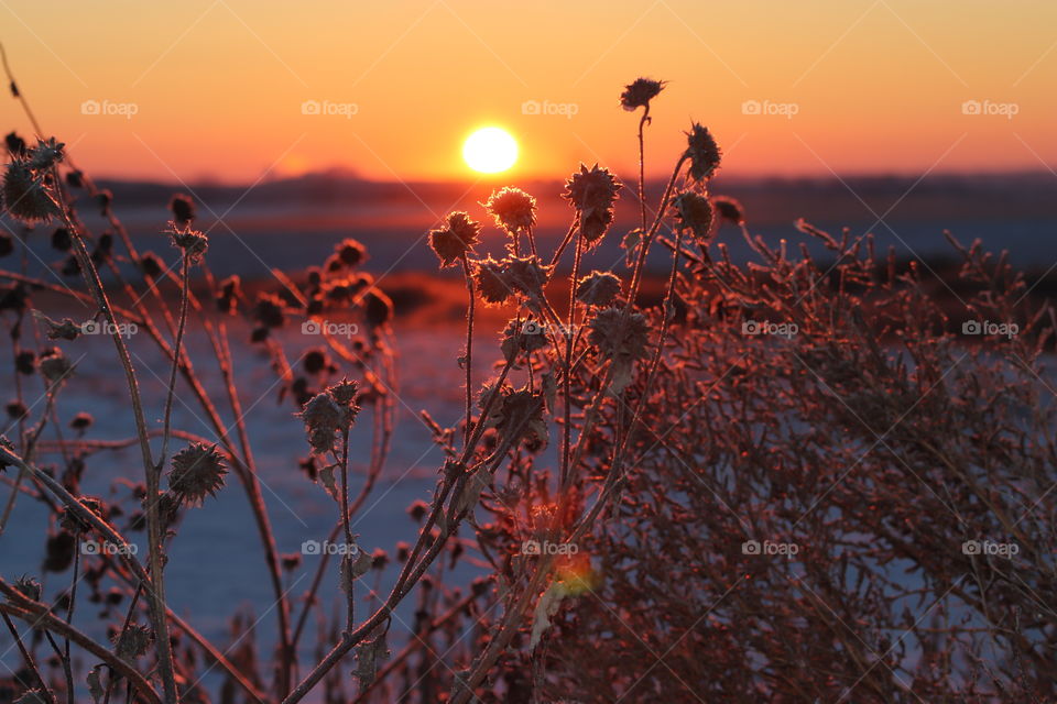Sunrise in North Dakota