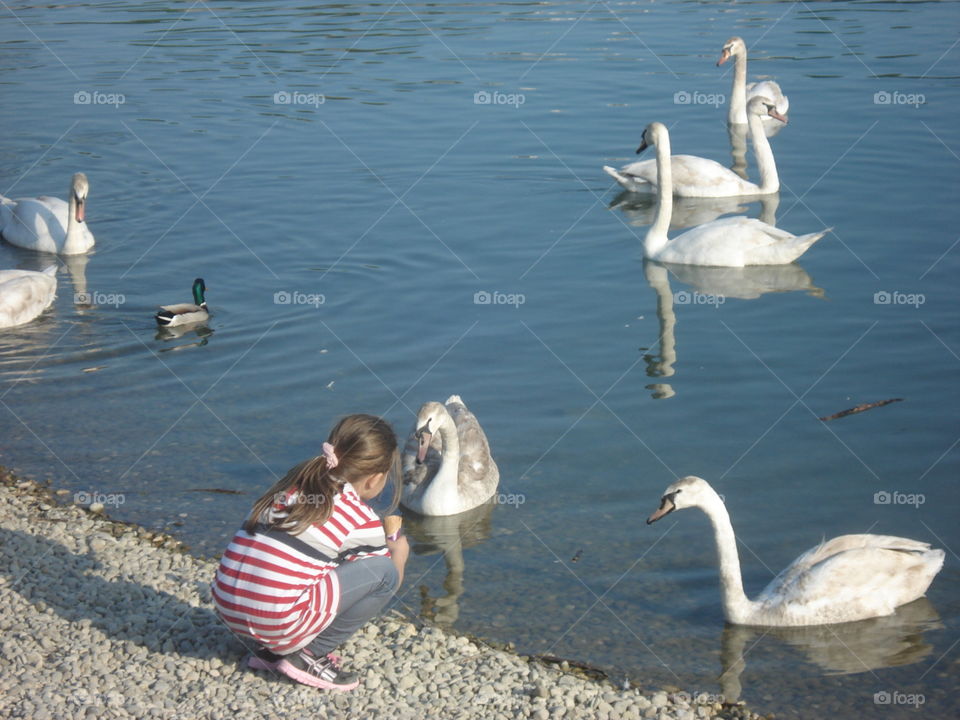 Swan lake and girl with ice cream,Bundek,Zagreb,Croatia