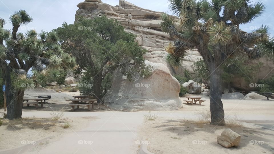 some benches to rest and picnic at in Joshua Tree Park
