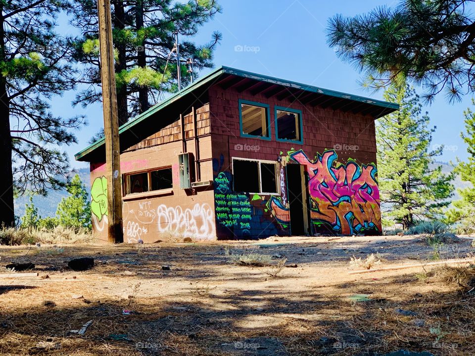 Abandoned Boy Scout camp 