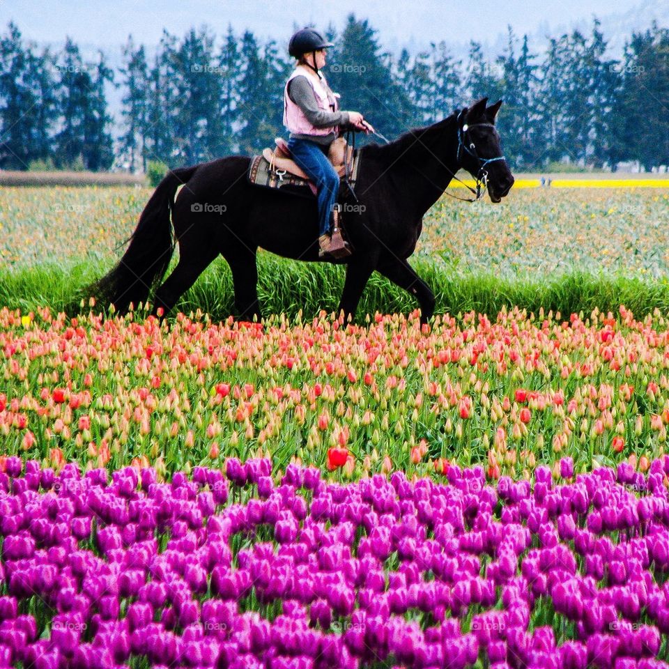 A men riding horse in field