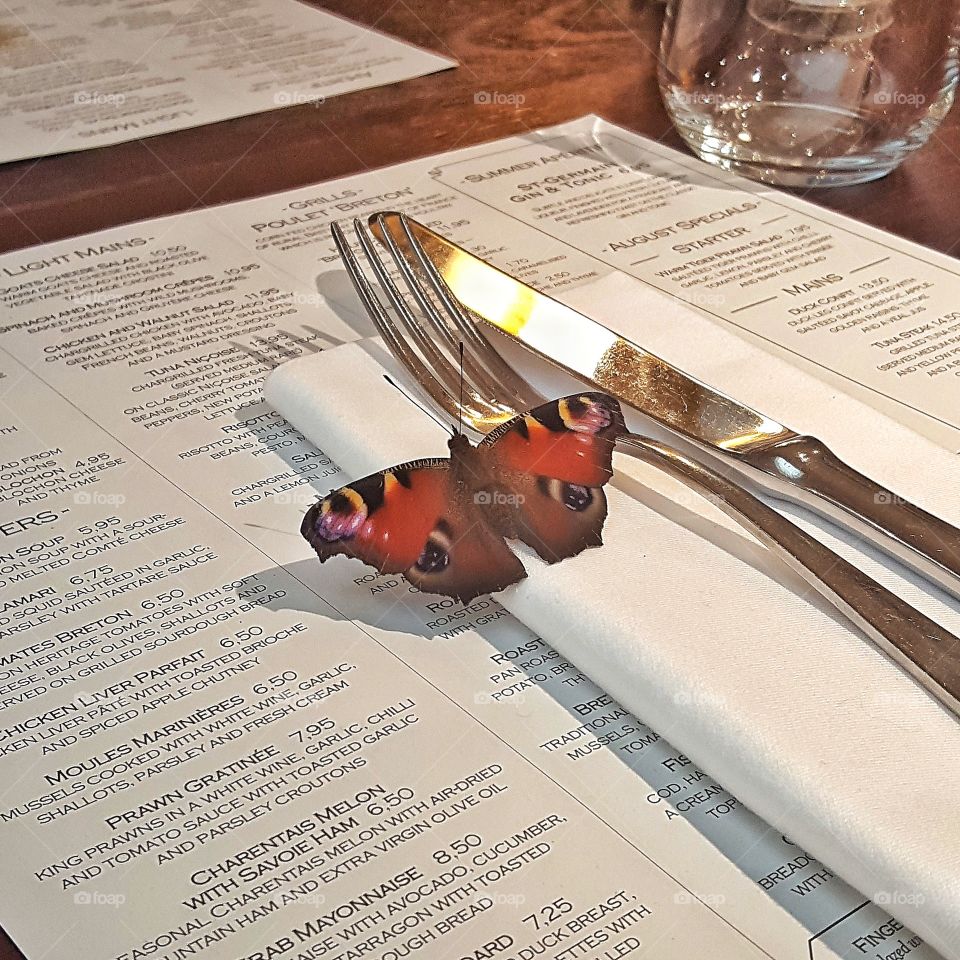 butterfly menu