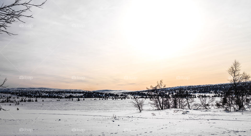 Winter Sunset