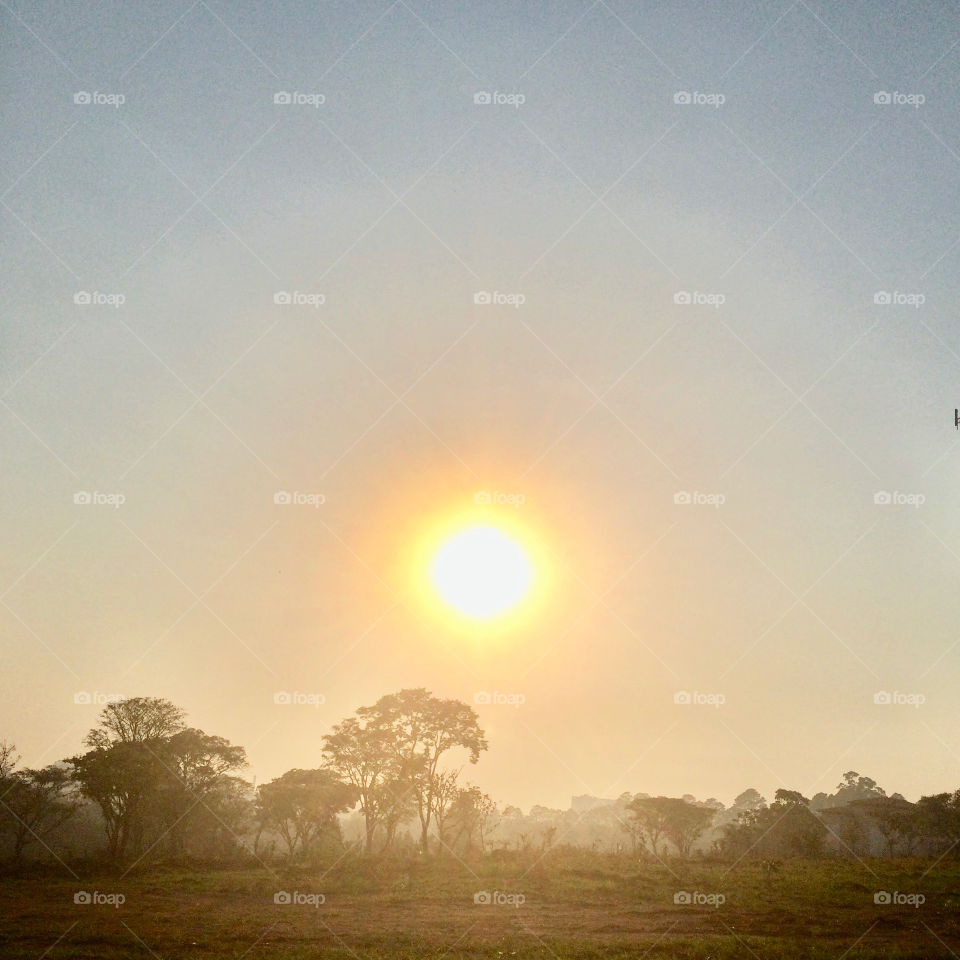 🌄🇺🇸 An extremely beautiful dawn in Jundiaí, interior of Brazil. Cheer the nature! / 🇧🇷 Um amanhecer extremamente bonito em Jundiaí, interior do Brasil. Viva a natureza! 