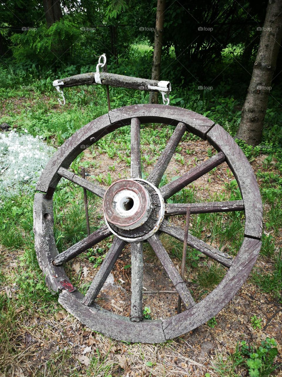 Old Wheel