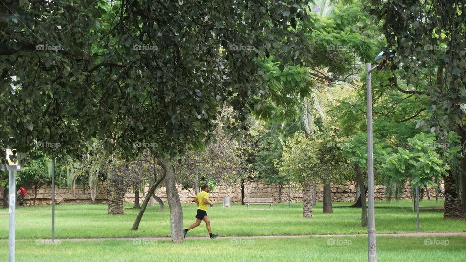 Park#nature#sport#run#trees#human#activity