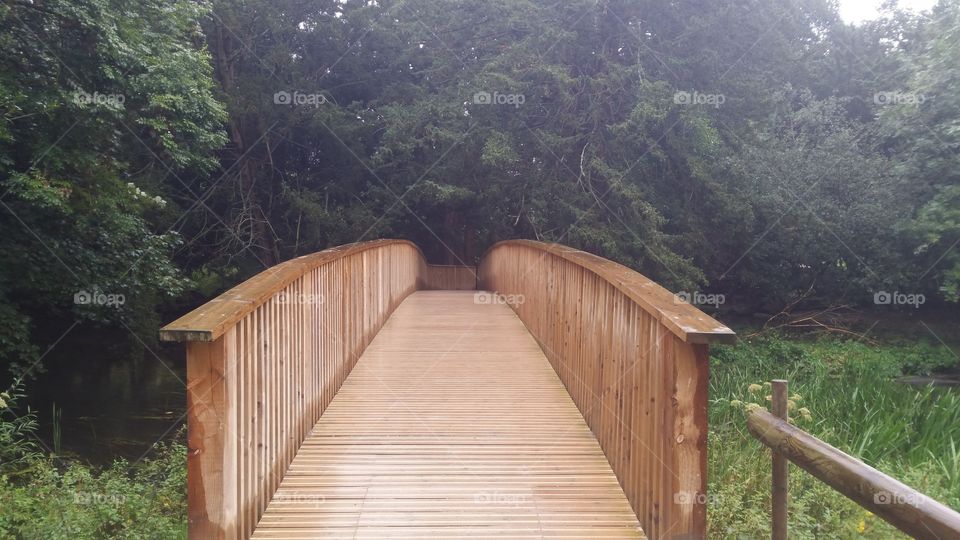 Wood, Bridge, No Person, Landscape, Nature