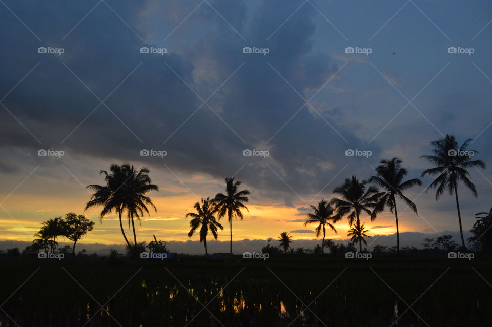 Twilight with a silhouette view