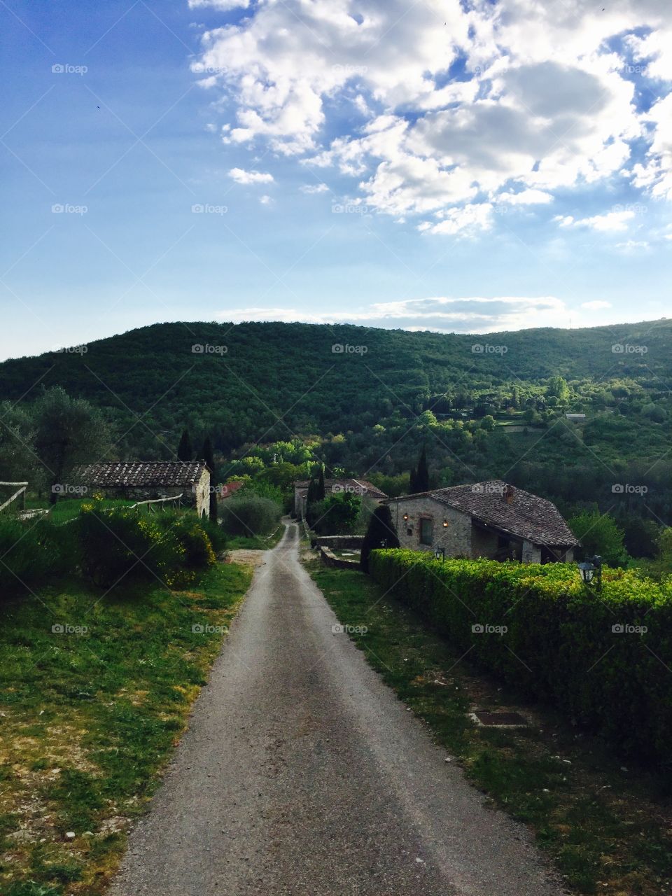 A road in Tuscany - Italy