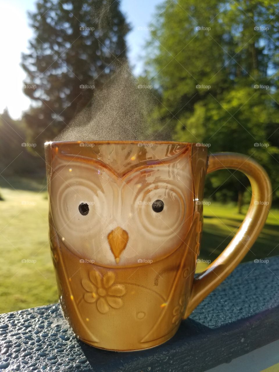 Morning coffee