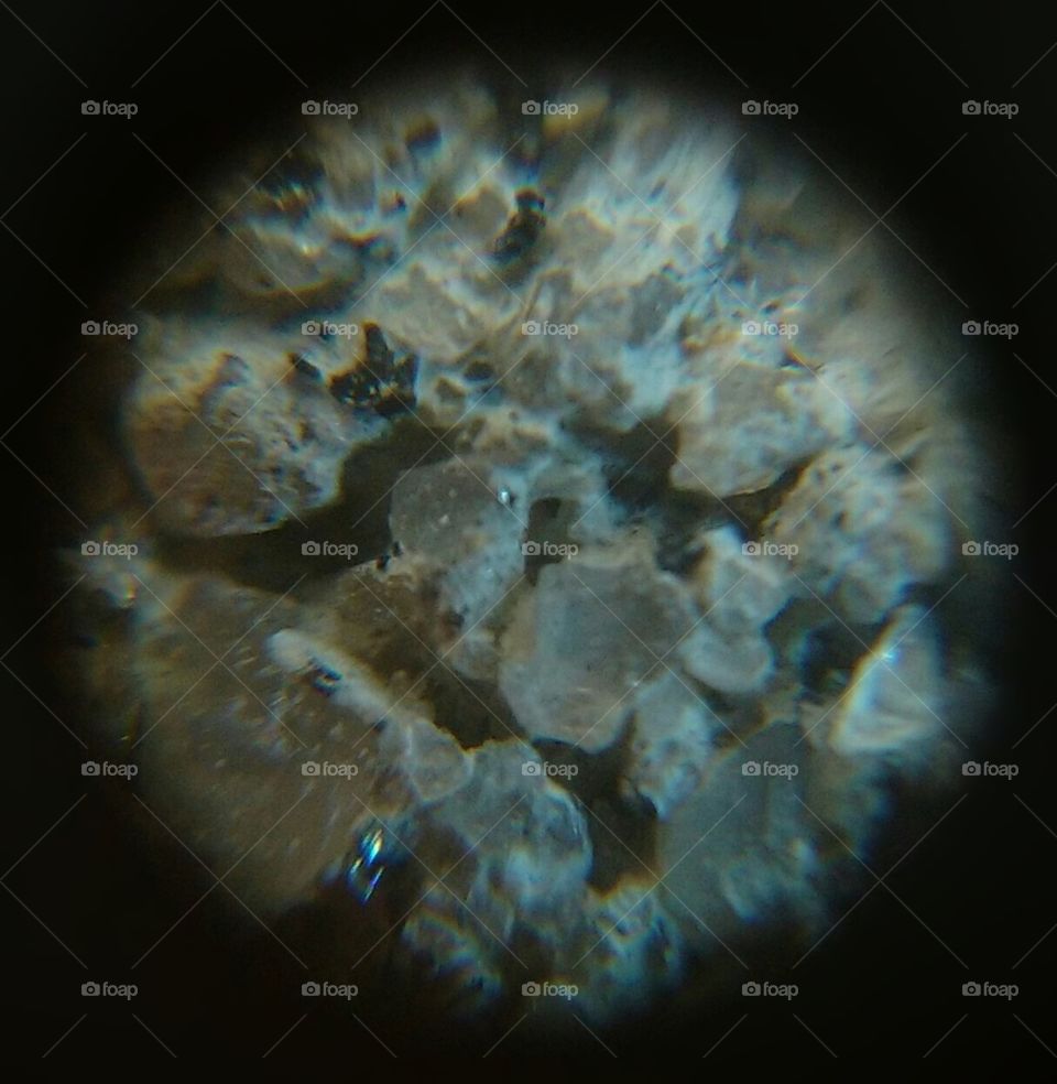 Microscopia do cimento