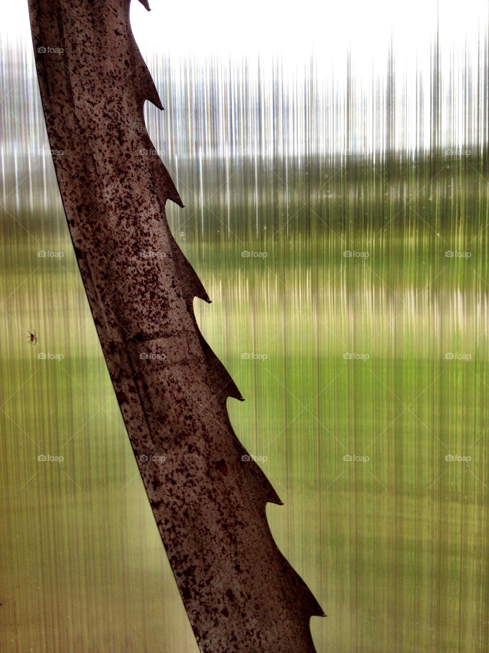 window spider saw blade by dannytwotaps