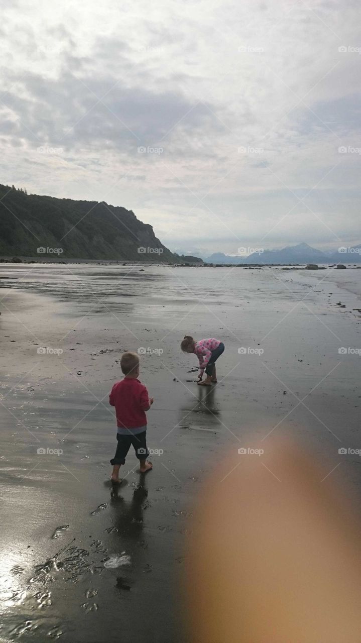 Alaskan mudflats hunt.