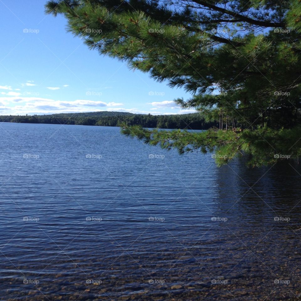 Maine Lake