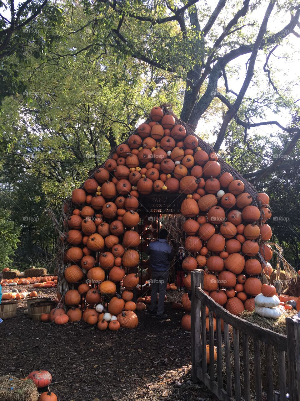 pumpkin house 