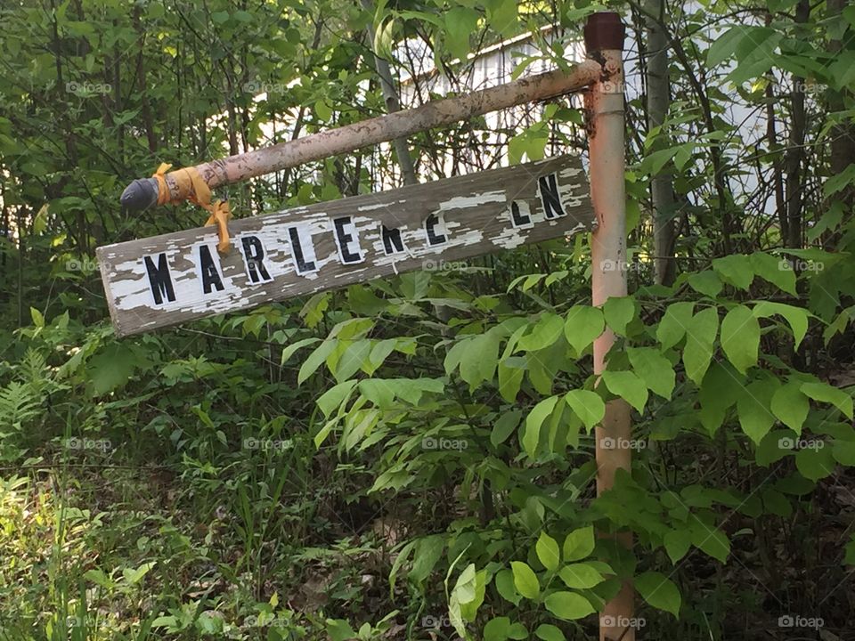 Marlene Ln 