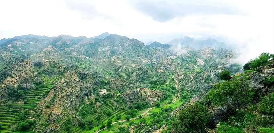 Glory be to God, the magnificent and picturesque view and the natural green trees are a view that is nothing more wonderful than it