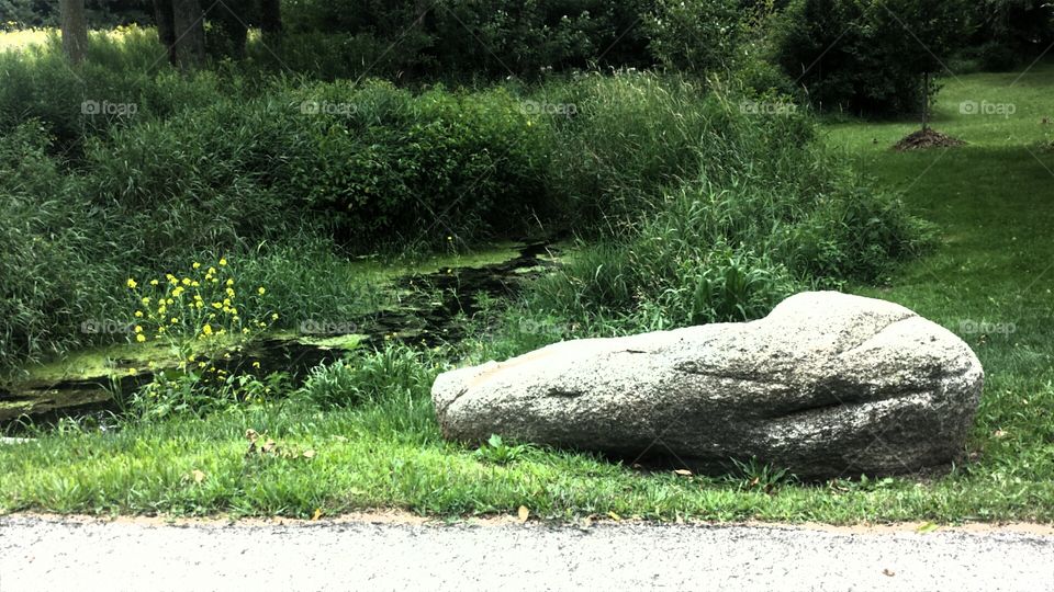 River Side. Big Rock by the River