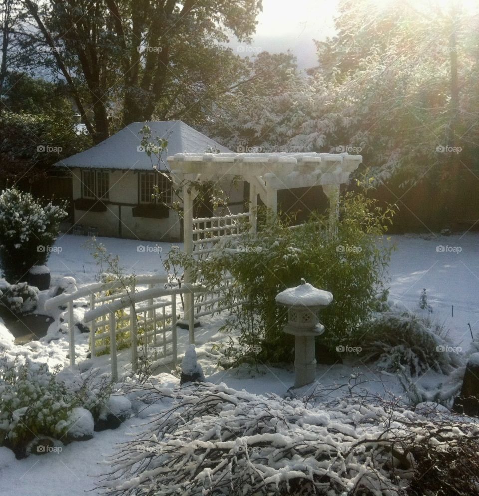 Winter Garden 