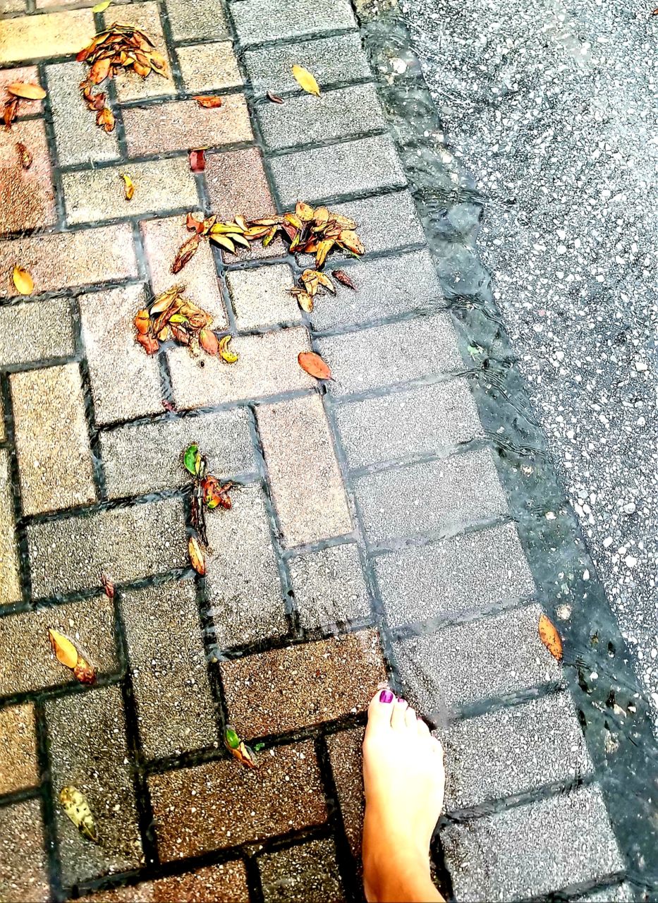 Walk puddles and fallen leaves