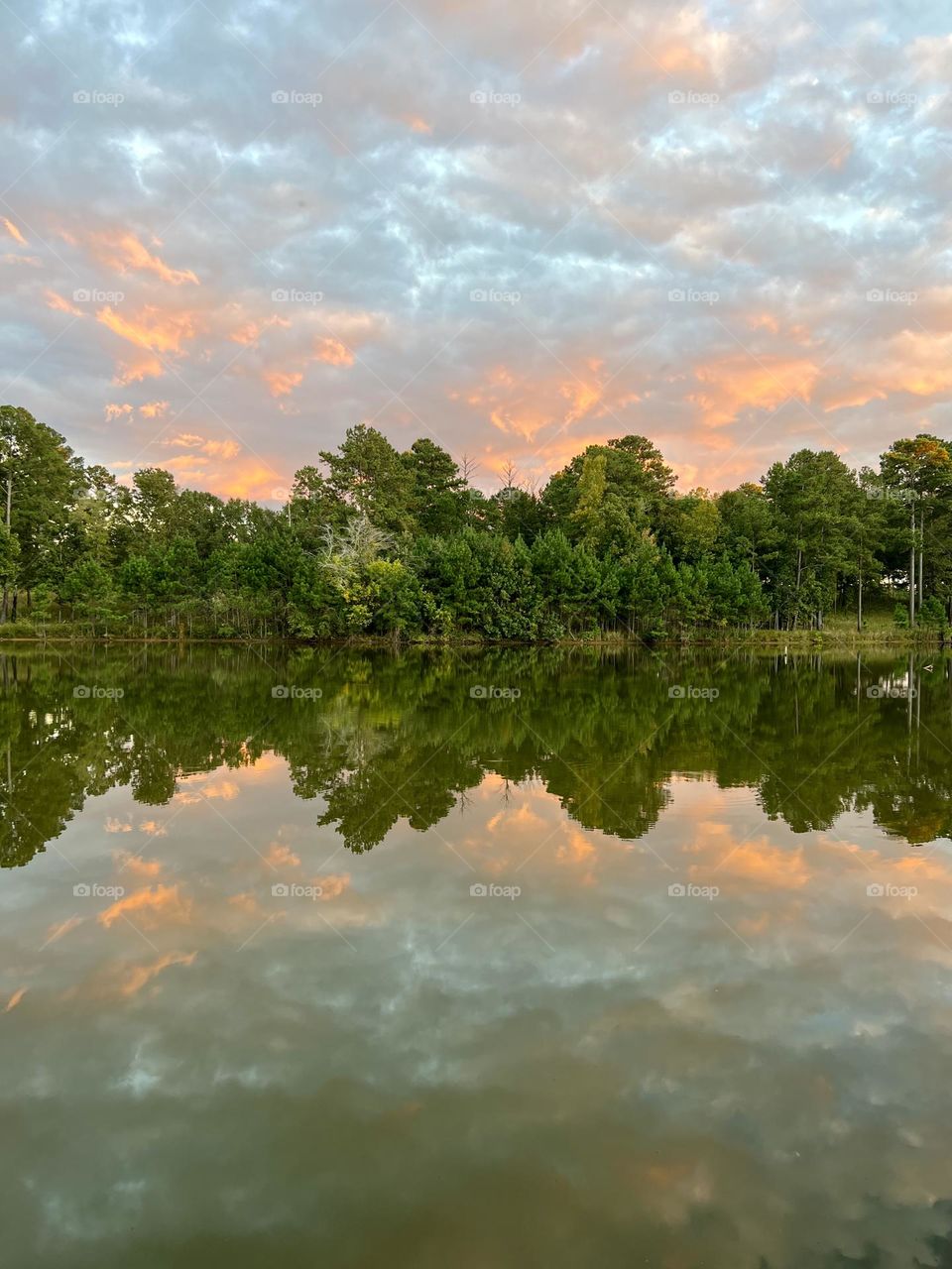 Clouds emphasize a beautiful dawn breaking over the tree line at a woodland pond. The reflection in the calm surface doubles the effect.