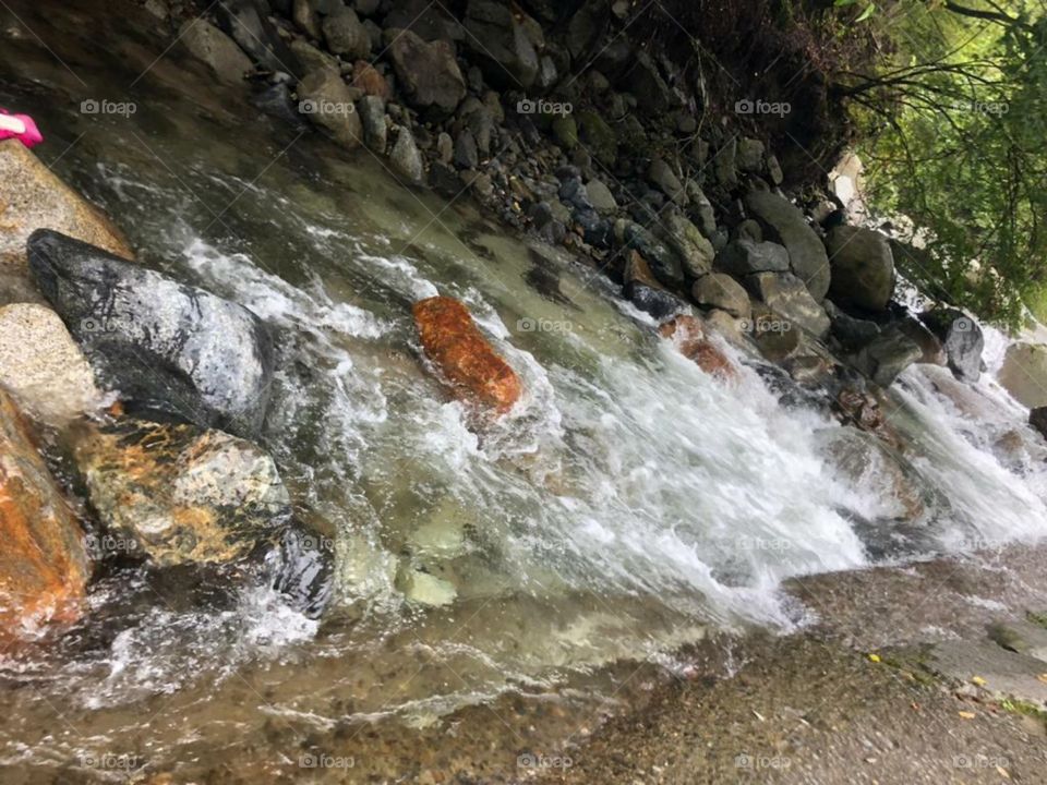 amazing view of riverside stream