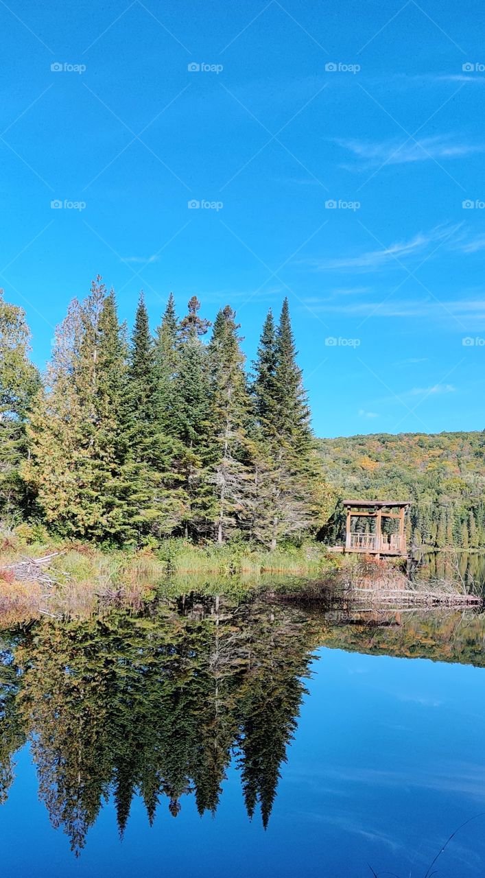 Nature in the mirror