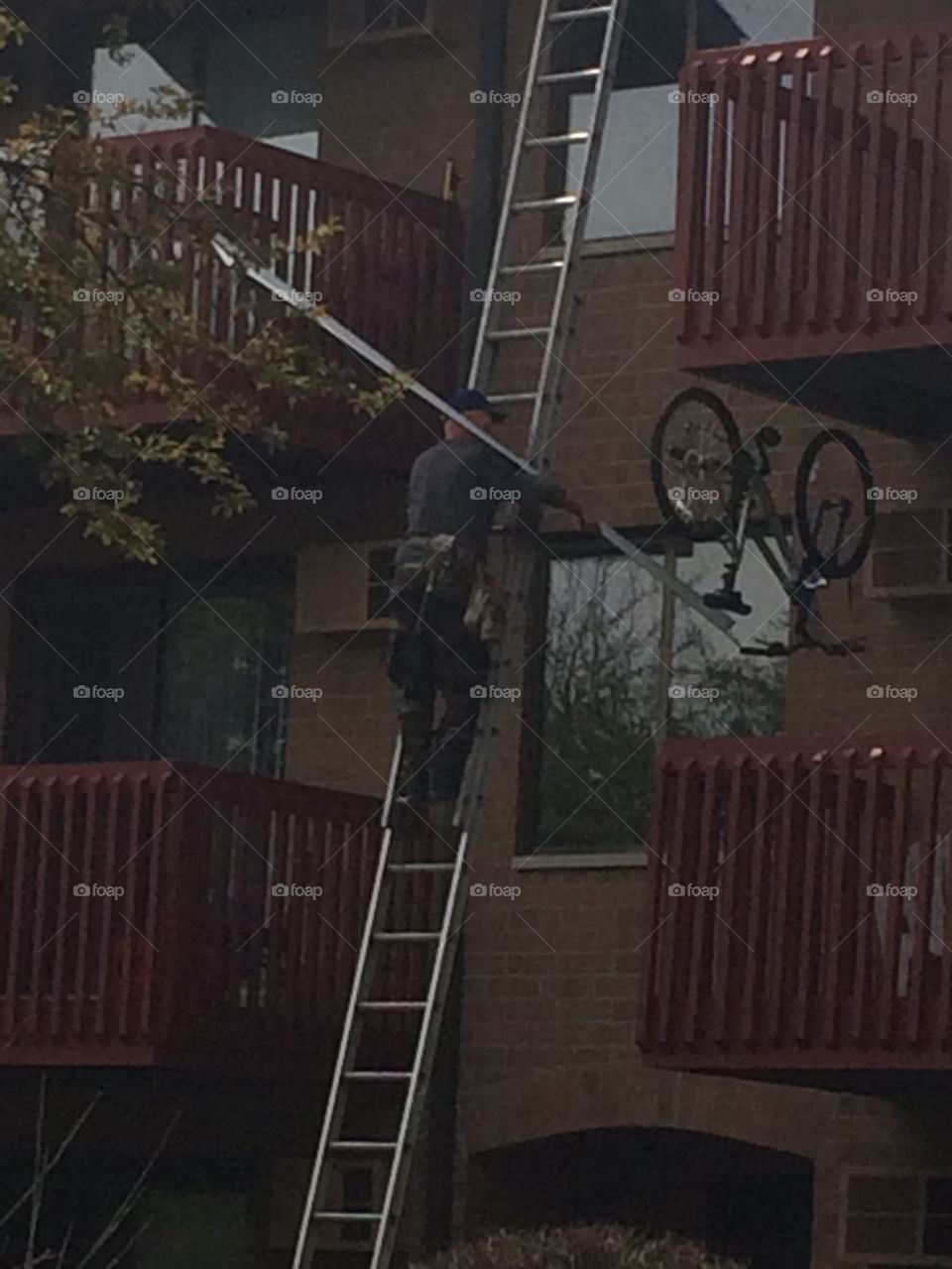 Maintenance Man on a ladder 