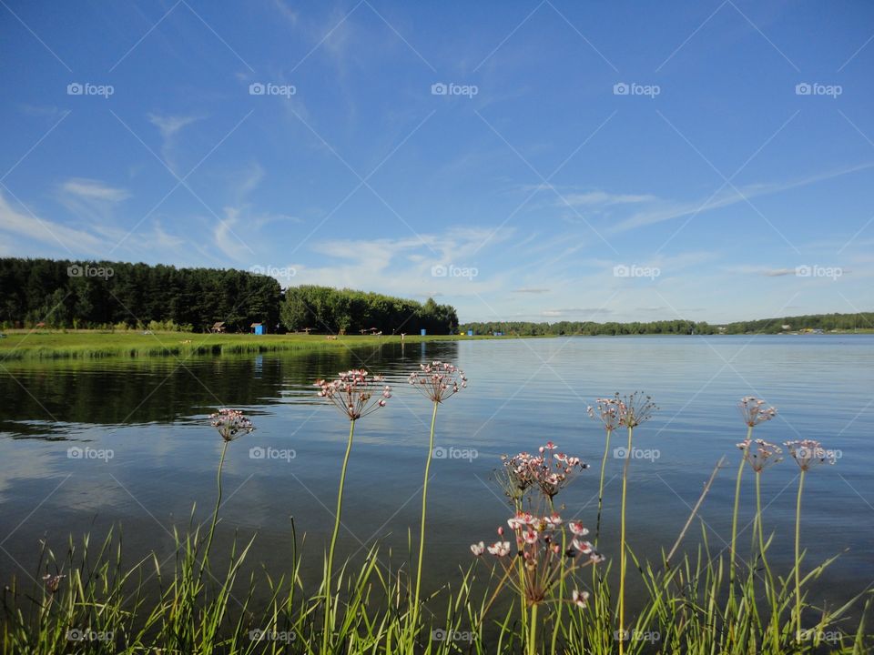 Scenic view of a lake