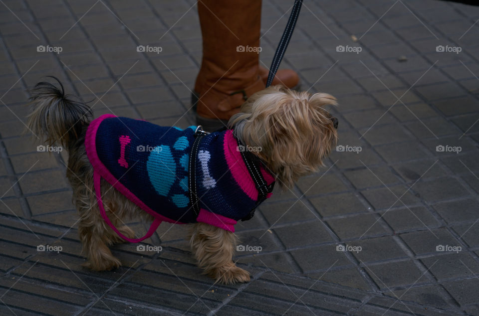 Vestido de invierno