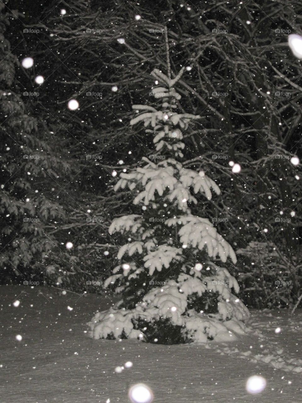 Night snow