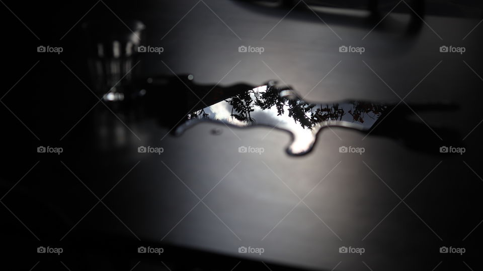 Sky and plants reflecting on water 