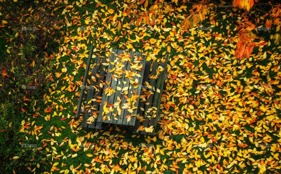 A wooden bench that has been covered with fallen autumn leaves