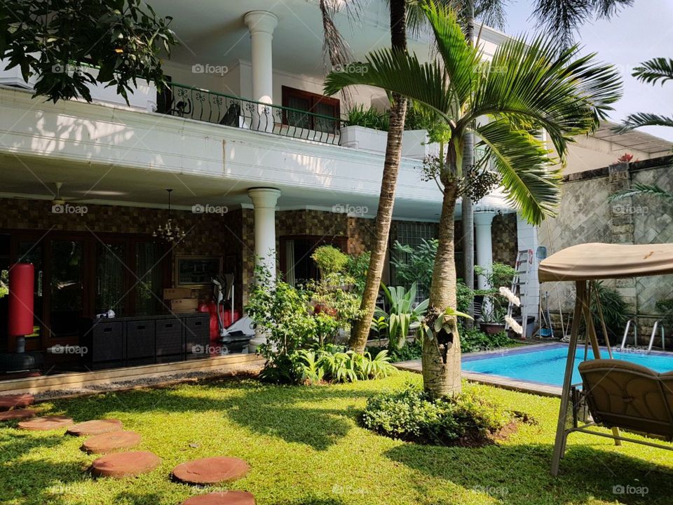 inside garden with the pool