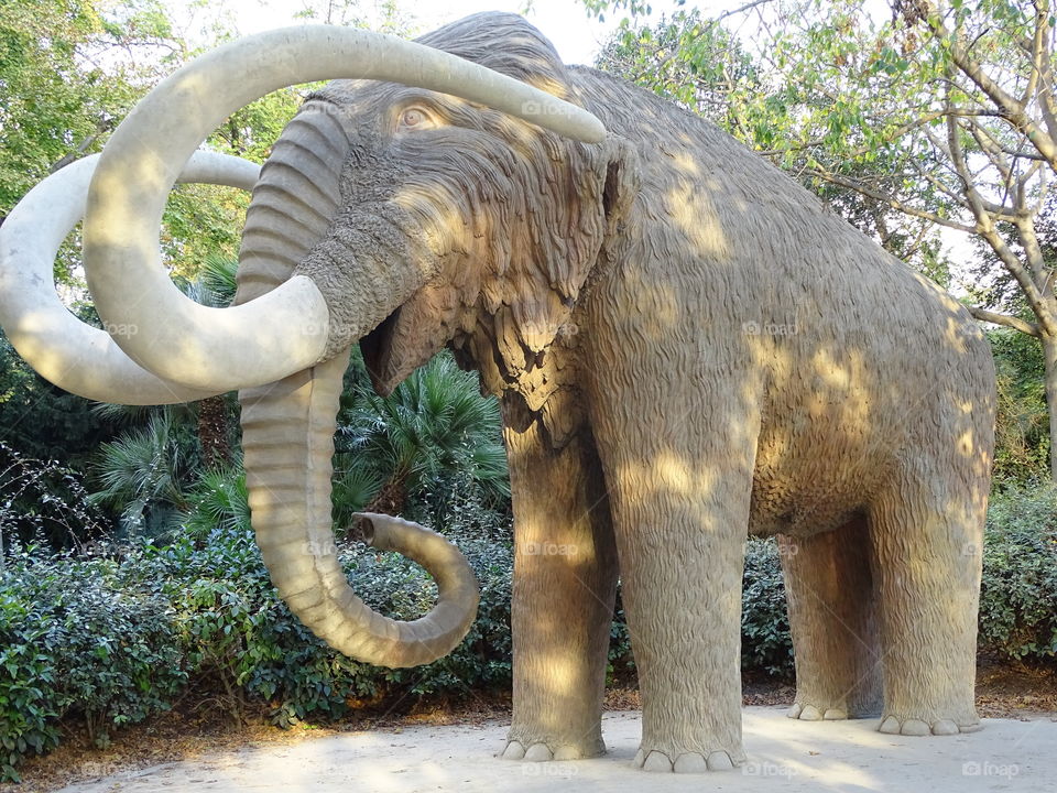 The Mammoth @ Ciutadella park