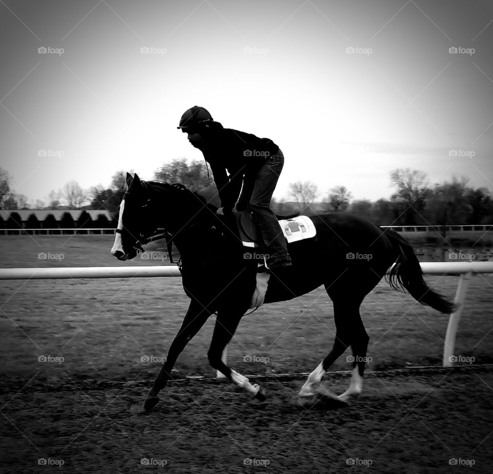 Horse, Jockey, Monochrome, Race, Equine