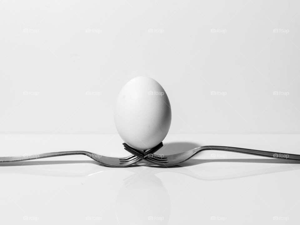 Egg