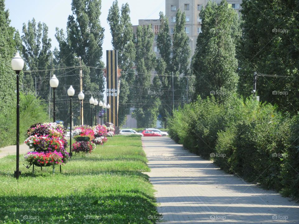boulevard in the city of Voronezh, summer, flowers,