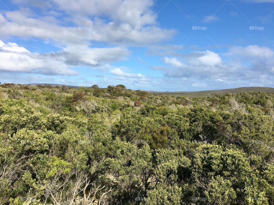 Coastal remote South Australian outback horizon against beautiful sunny sky and clouds in Springtime, full of colour, Lincoln National Park, copy text space. 