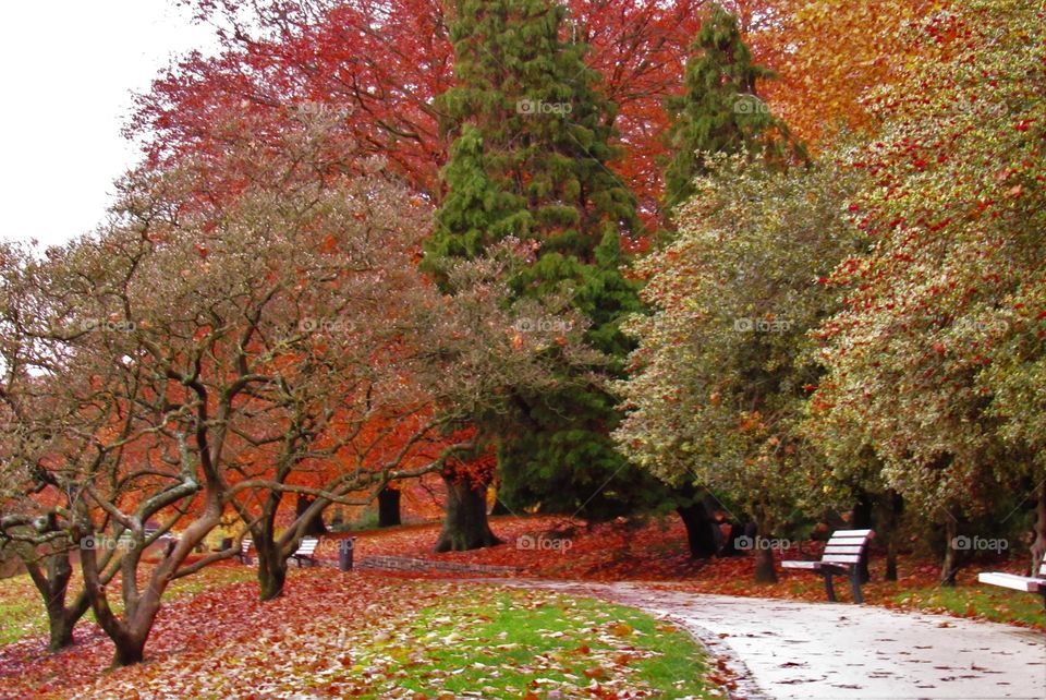 In the park