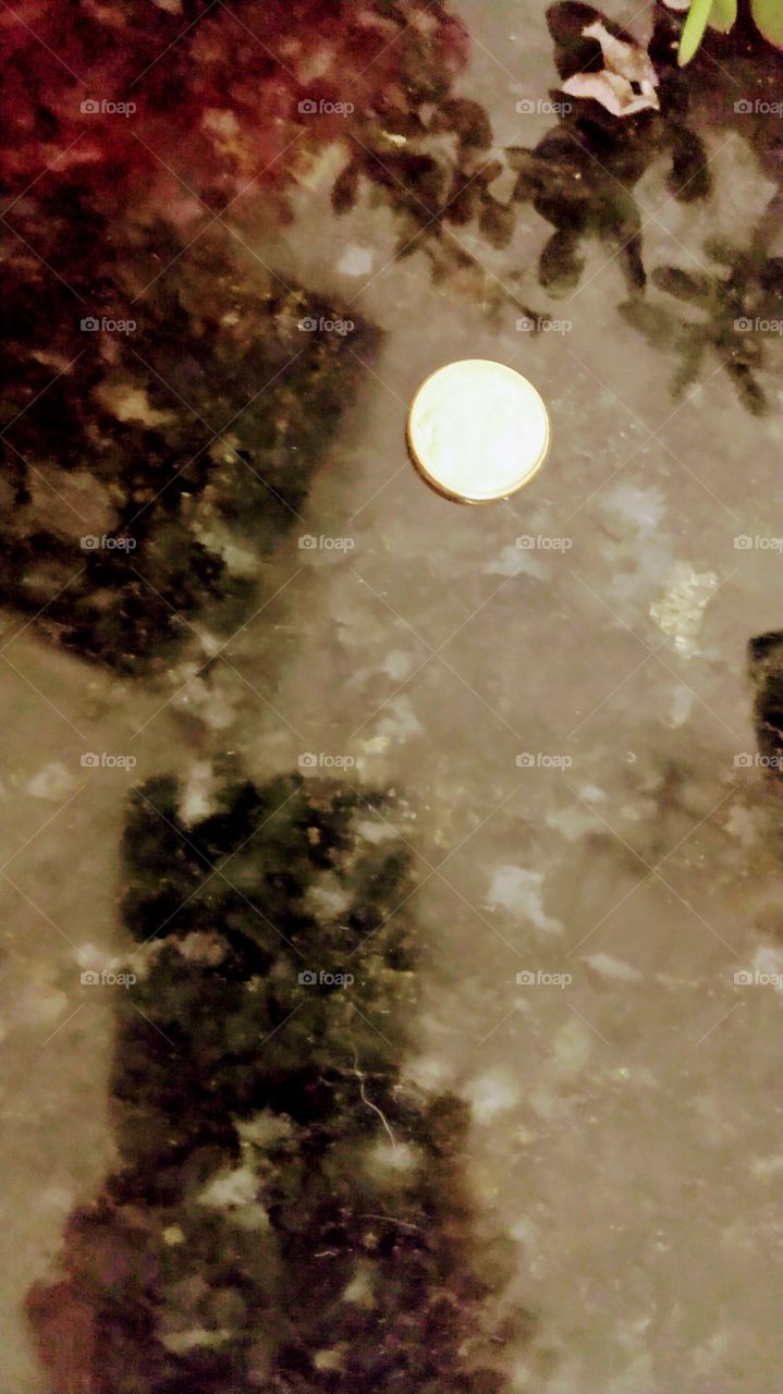 Moeda , imagem parece a Lua.
