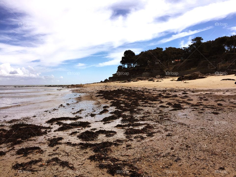 Beach, Water, Sea, Landscape, Seashore