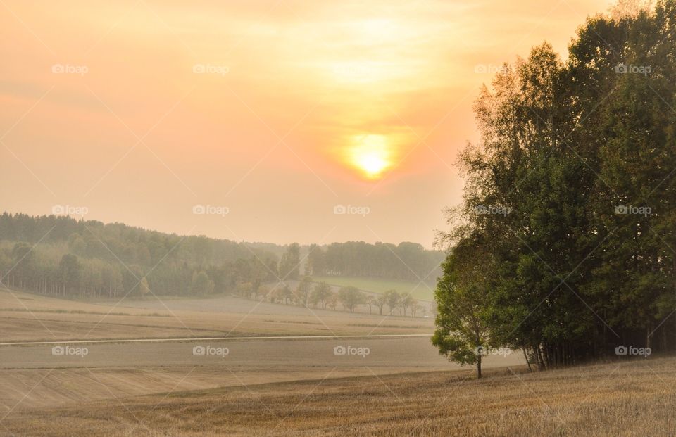 View of a landscape during sunset