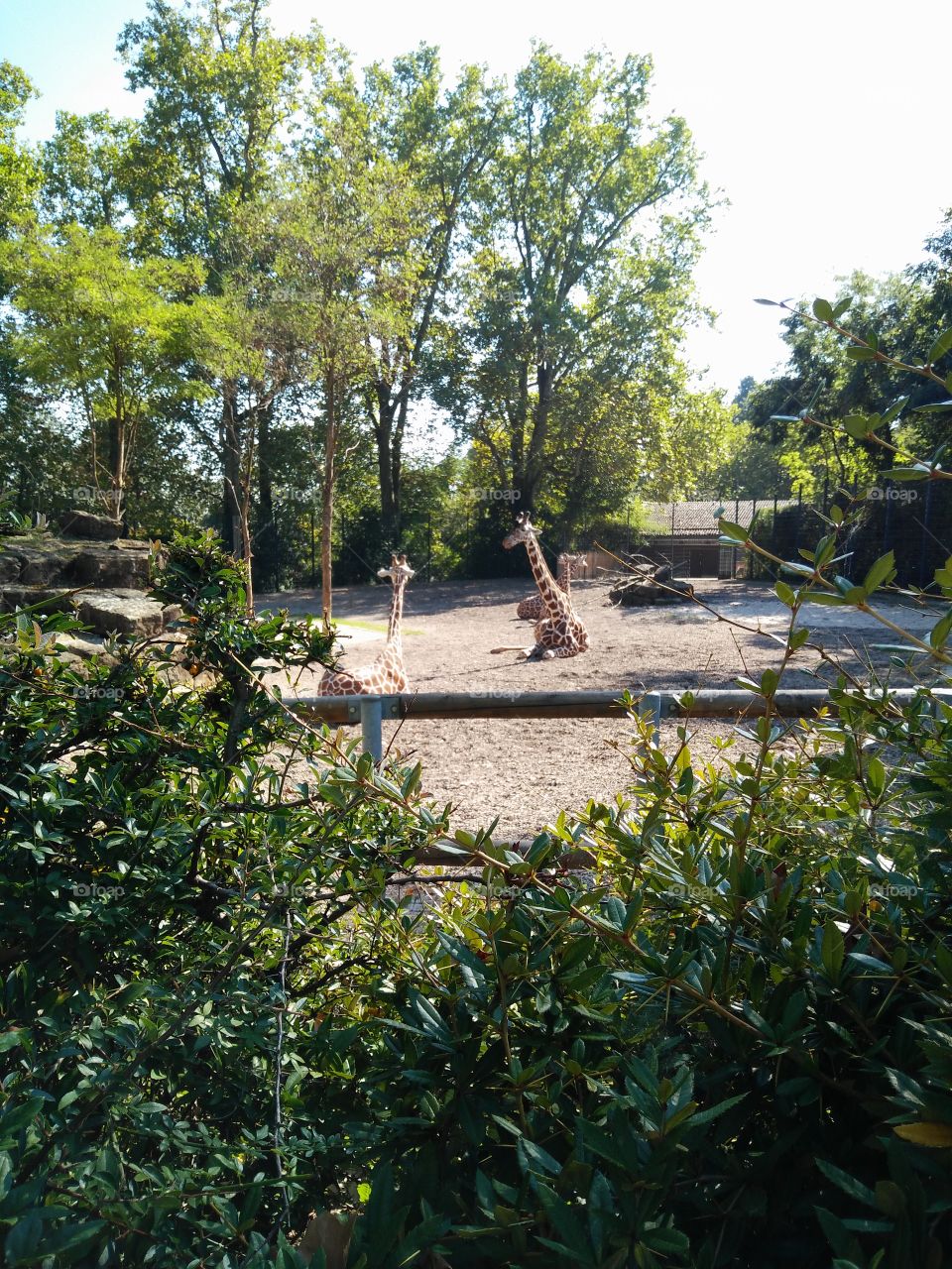Wilhelma Zoo