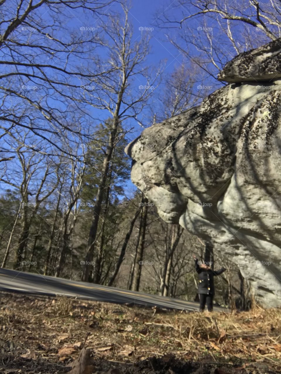 It’s a rock, no it’s a lion. Thank God it’s not falling!