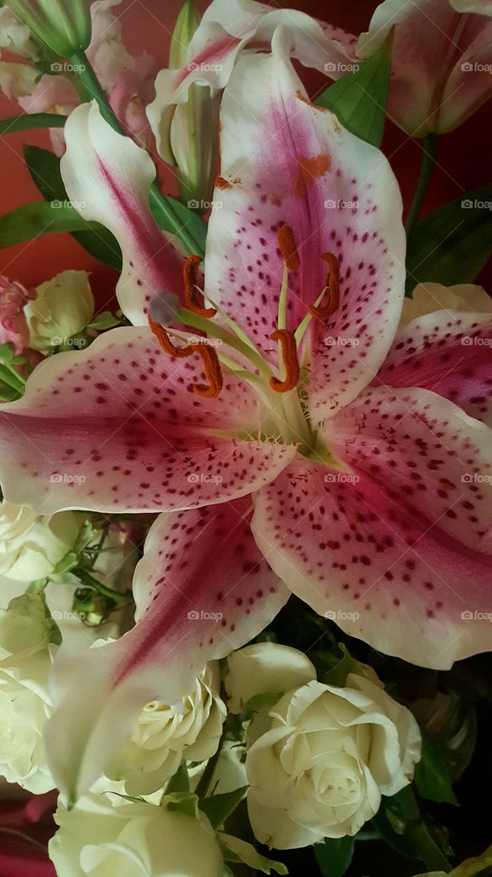 flower arrangement close up