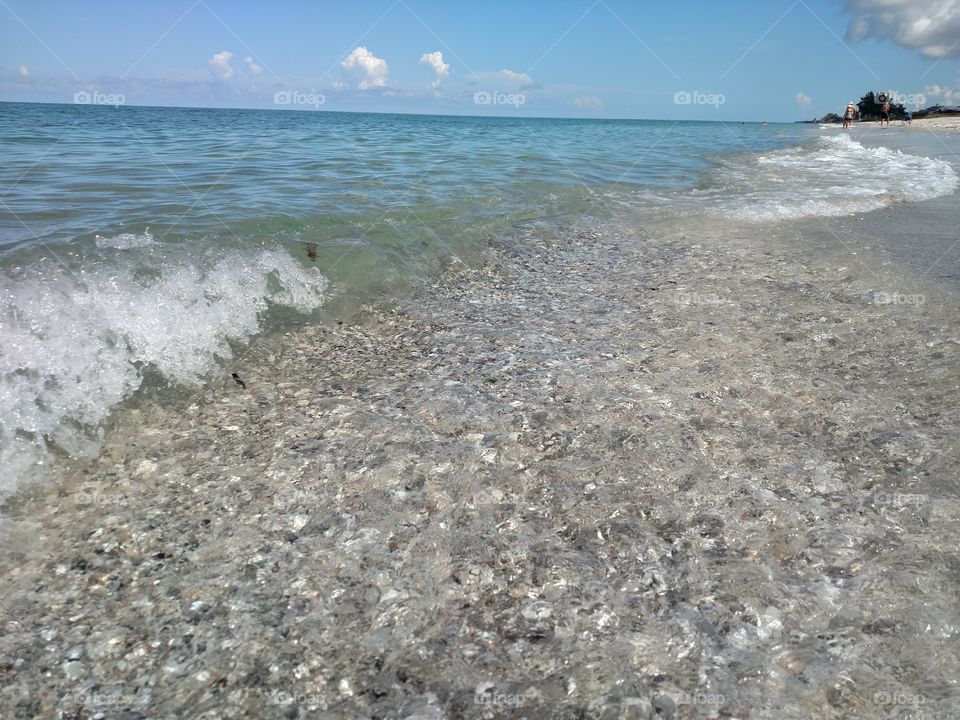 Wave splashing the shore.