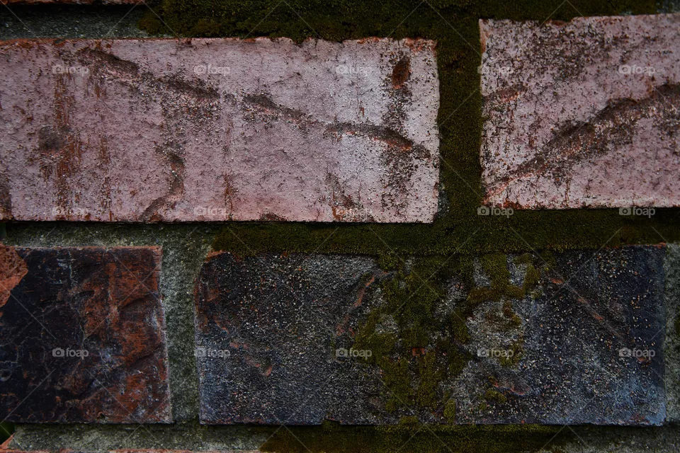 Wall