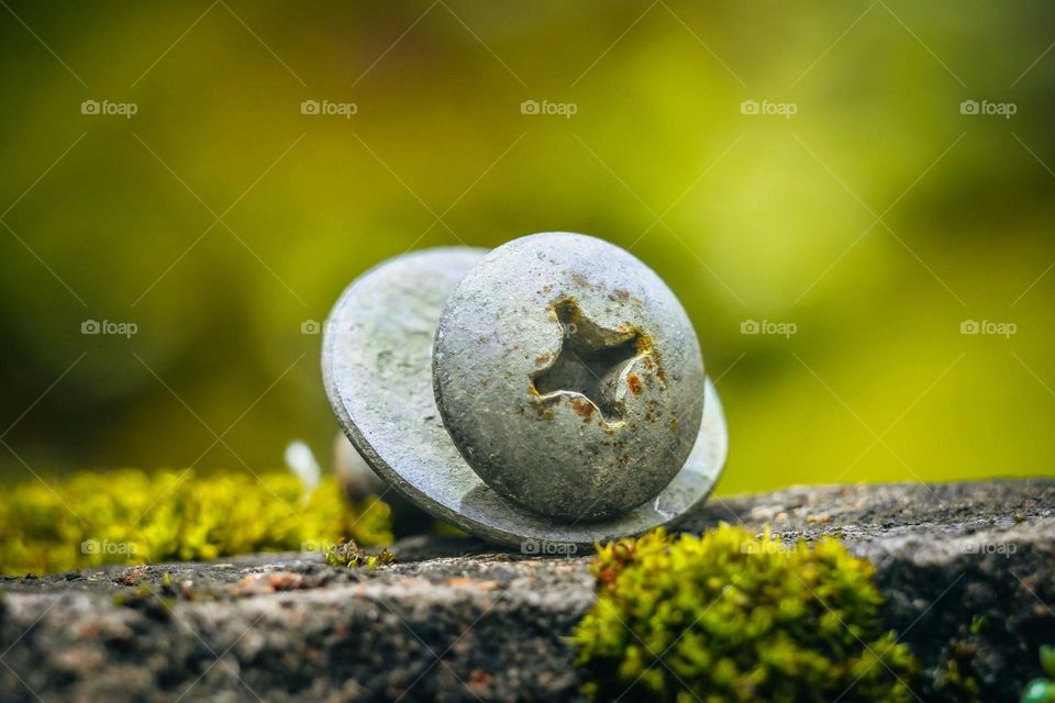 Macro shot of a screw with beautiful green background and foreground.