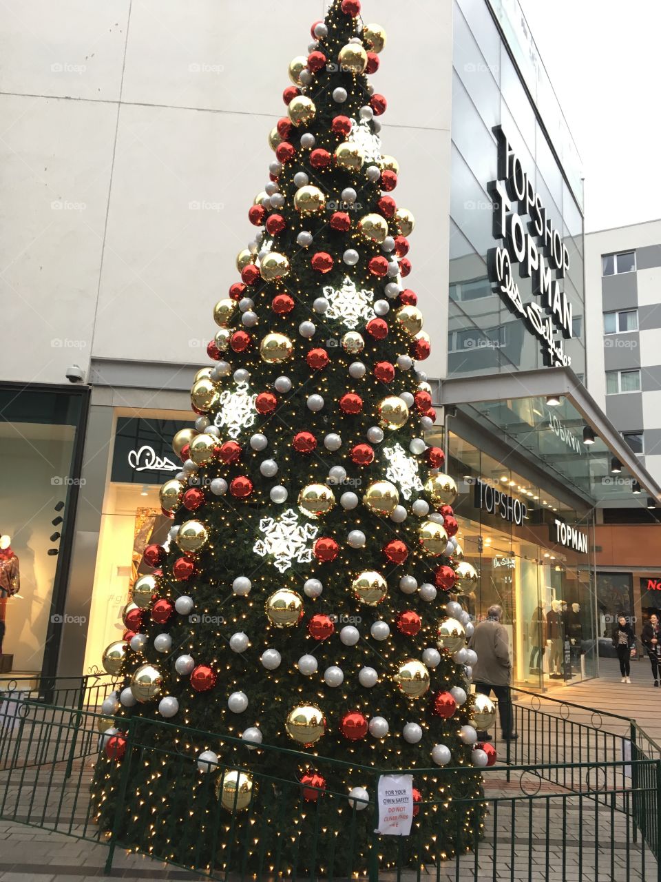 Delightful city Christmas Tree